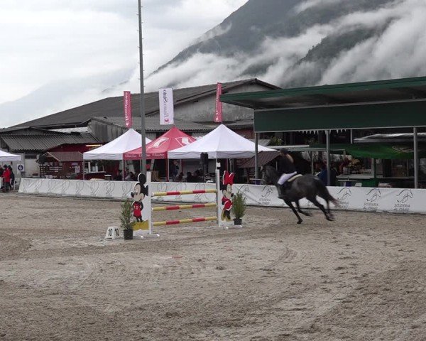 Reitturnier Giubiasco 2024