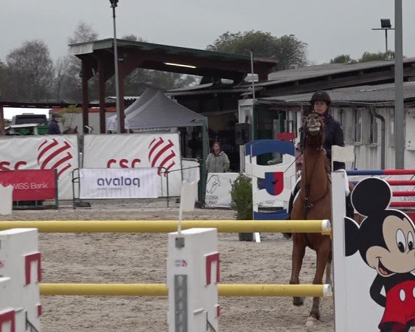 Reitturnier Giubiasco 2024
