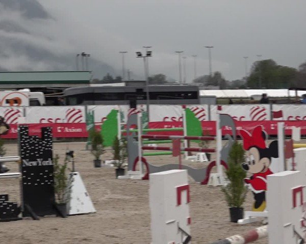 Reitturnier Giubiasco 2024