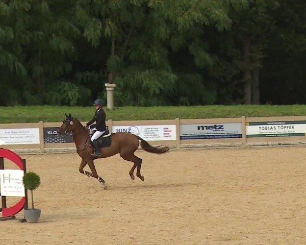 Reitturnier Tiefenhof/Opf. 2024