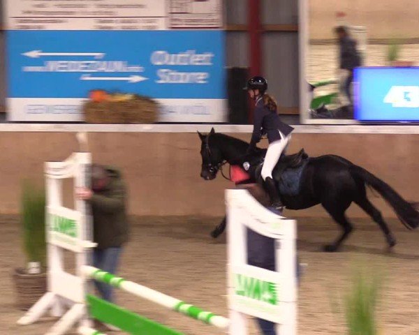 Reitturnier Behrendorf 2024