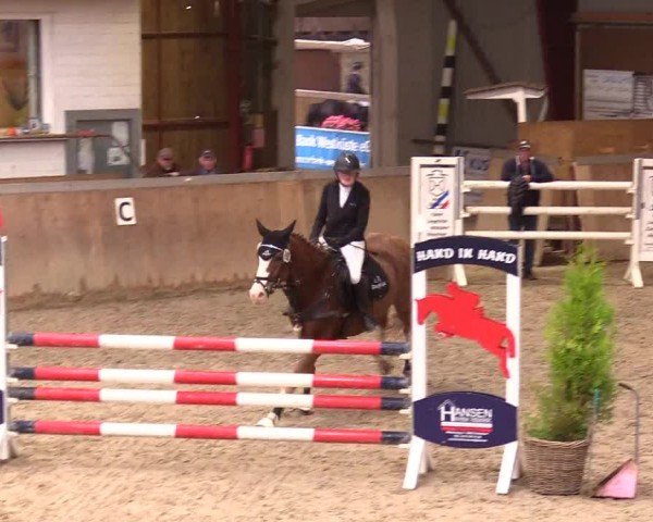 Reitturnier Behrendorf 2024
