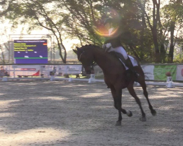 Reitturnier Ruhlsdorf 2024