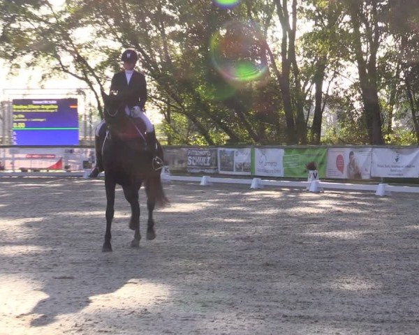 Reitturnier Ruhlsdorf 2024