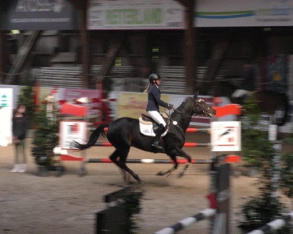 Reitturnier Böblingen 2024