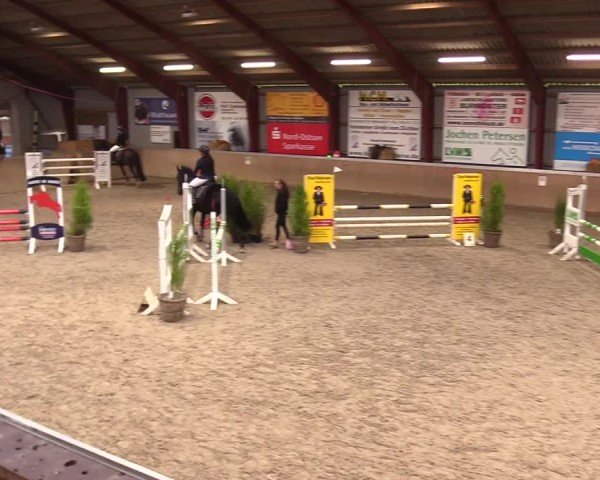 Reitturnier Behrendorf 2024