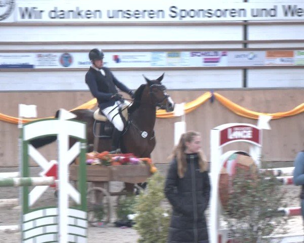 Reitturnier Salzkotten 2024