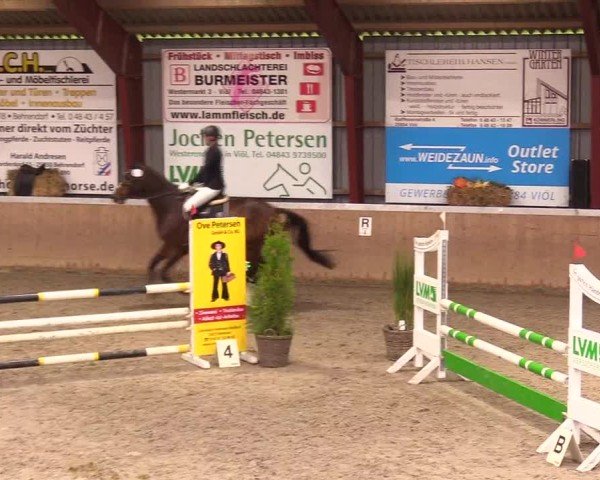 Reitturnier Behrendorf 2024