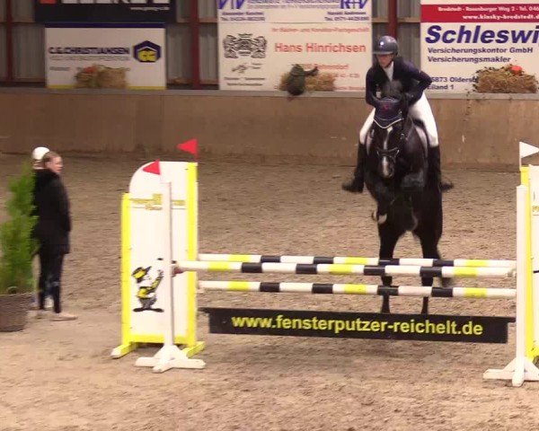 Reitturnier Behrendorf 2024