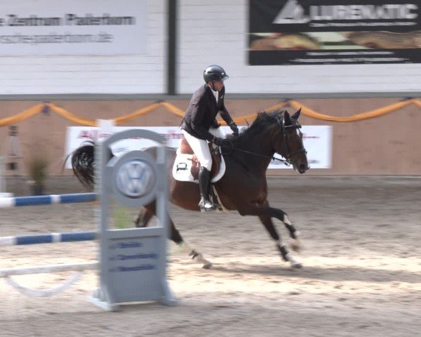 Reitturnier Salzkotten 2024