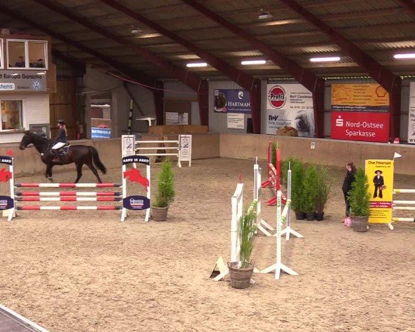 Reitturnier Behrendorf 2024