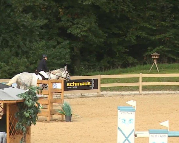 Reitturnier Tiefenhof/Opf. 2024