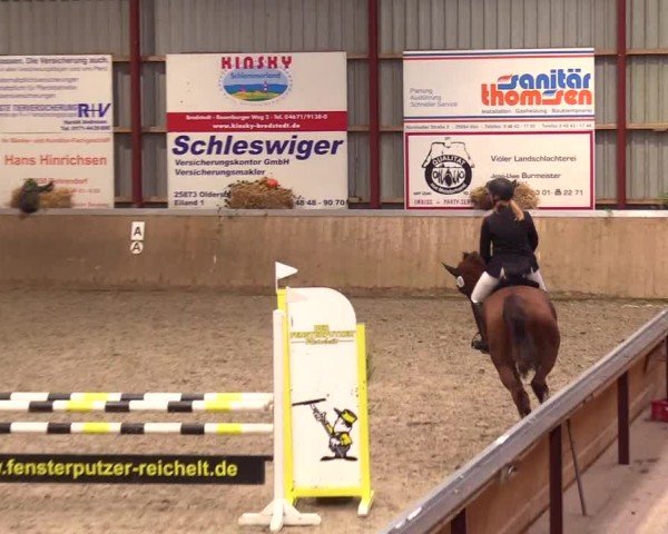Reitturnier Behrendorf 2024