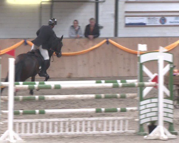 Reitturnier Salzkotten 2024