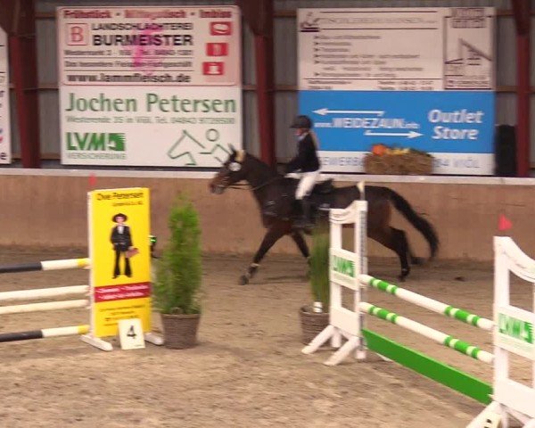 Reitturnier Behrendorf 2024