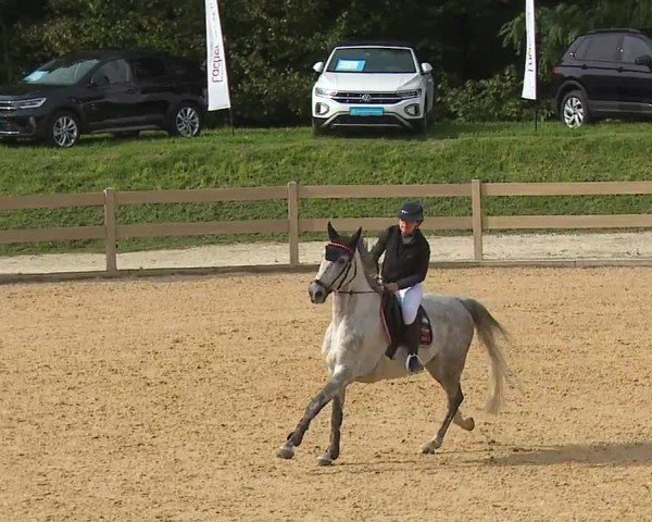 Reitturnier Tiefenhof/Opf. 2024
