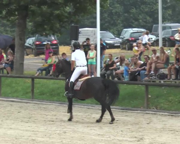 Sparkassen German Friendship 2013
