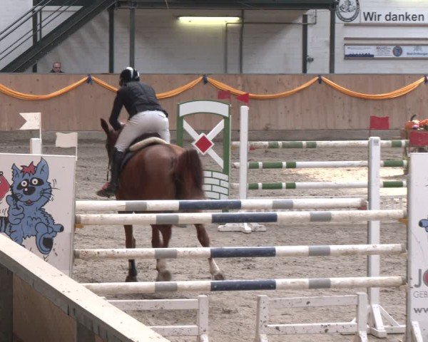 Reitturnier Salzkotten 2024