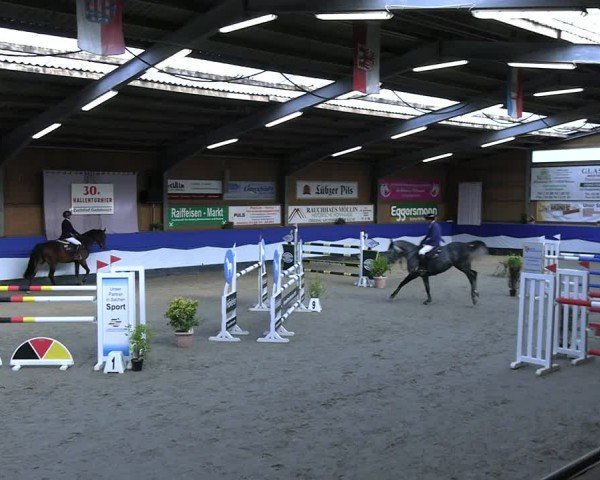 Reitturnier Gadebusch 2024
