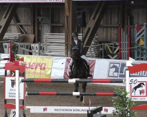 Reitturnier Böblingen 2024