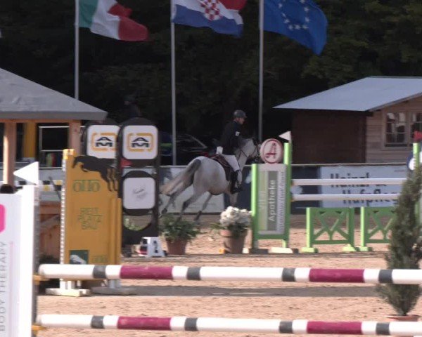 Reitturnier Ranshofen - Braunau am Inn 2024