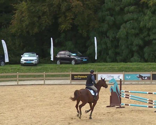 Reitturnier Tiefenhof/Opf. 2024