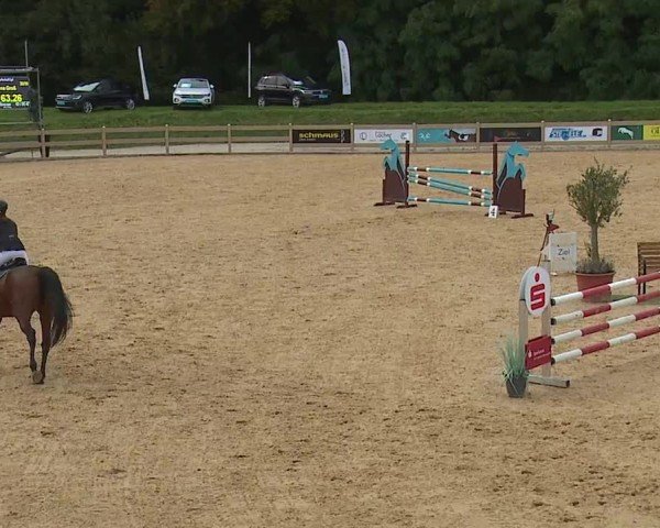 Reitturnier Tiefenhof/Opf. 2024