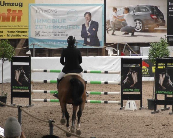 Reitturnier Böblingen 2024