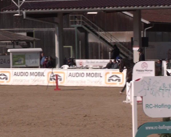 Reitturnier Ranshofen - Braunau am Inn 2024