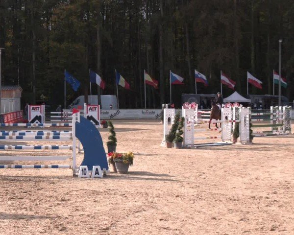Reitturnier Ranshofen - Braunau am Inn 2024