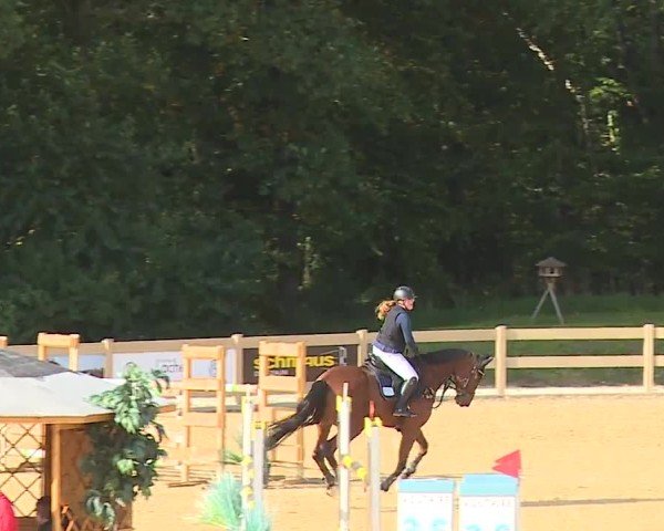 Reitturnier Tiefenhof/Opf. 2024