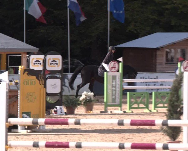 Reitturnier Ranshofen - Braunau am Inn 2024
