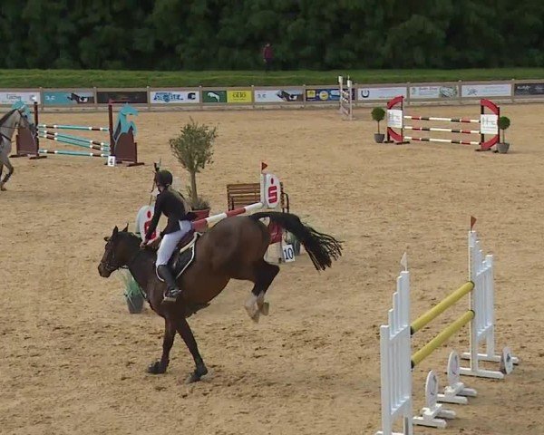 Reitturnier Tiefenhof/Opf. 2024