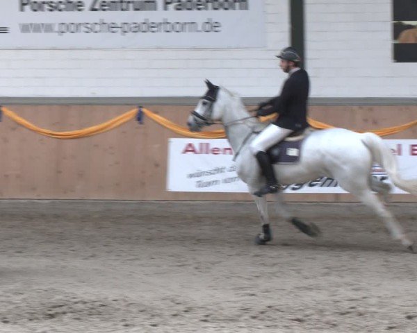 Reitturnier Salzkotten 2024