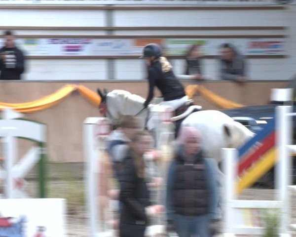 Reitturnier Salzkotten 2024