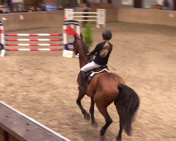 Reitturnier Behrendorf 2024