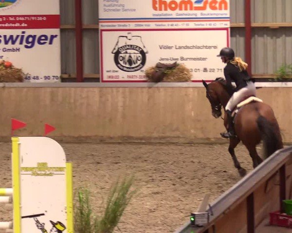Reitturnier Behrendorf 2024