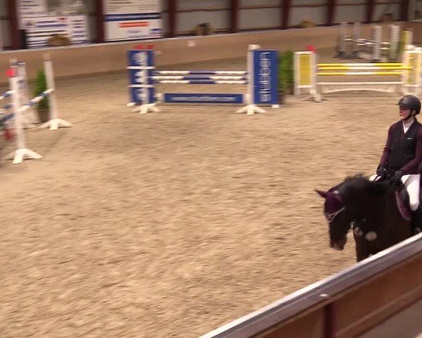 Reitturnier Behrendorf 2024