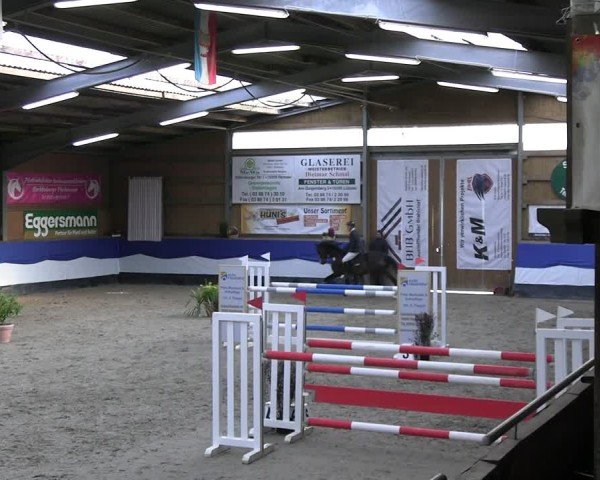 Reitturnier Gadebusch 2024