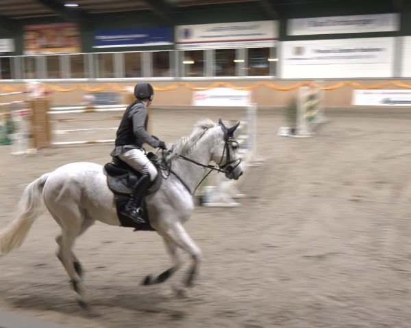 Reitturnier Salzkotten 2024