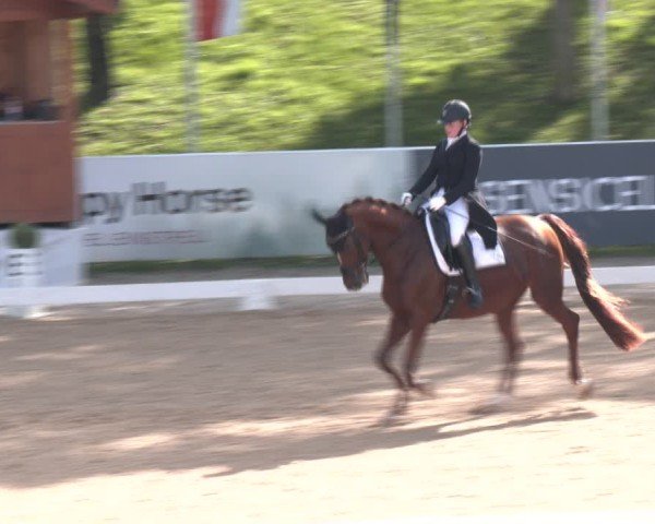 Reitturnier Stadl-Paura 2024