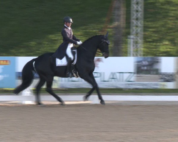 Reitturnier Stadl-Paura 2024