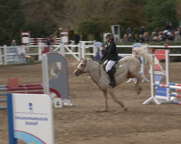 Reitturnier Teupitz 2024