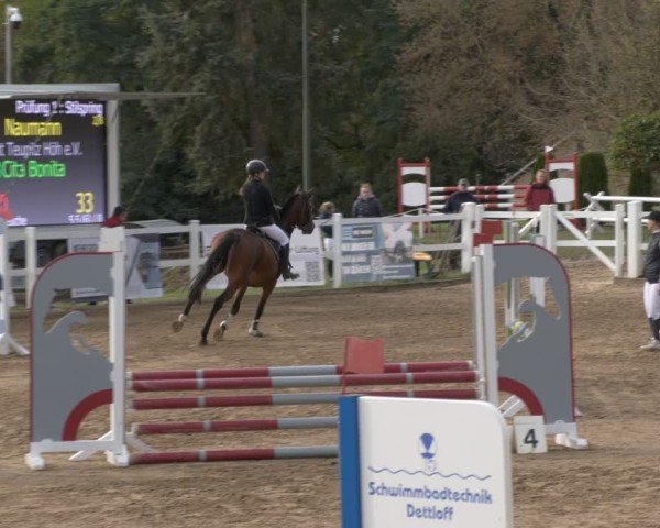 Reitturnier Teupitz 2024