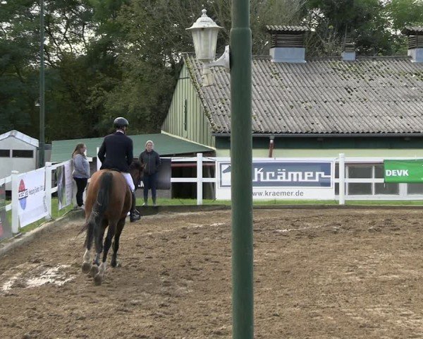 Reitturnier Teupitz 2024