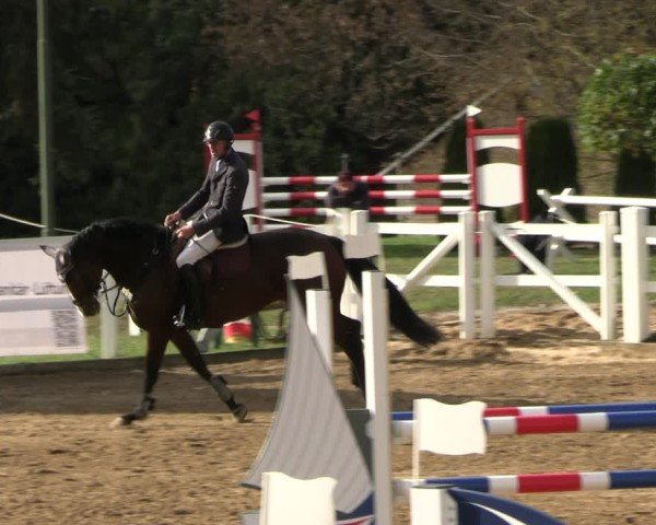 Reitturnier Teupitz 2024