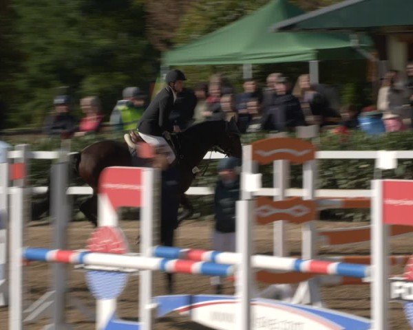 Reitturnier Teupitz 2024