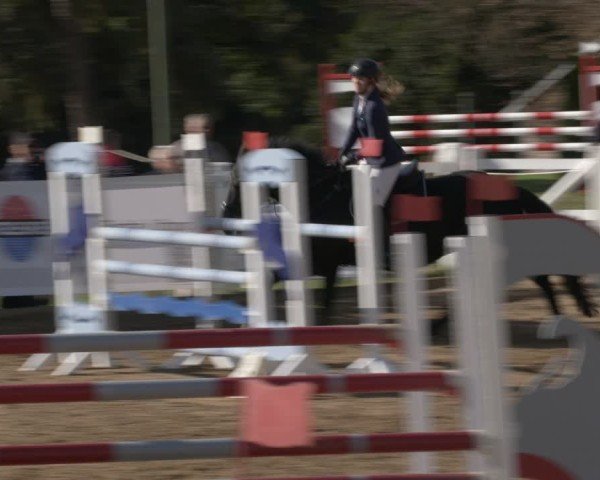 Reitturnier Teupitz 2024