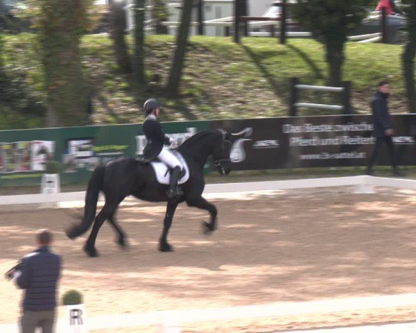 Reitturnier Stadl-Paura 2024
