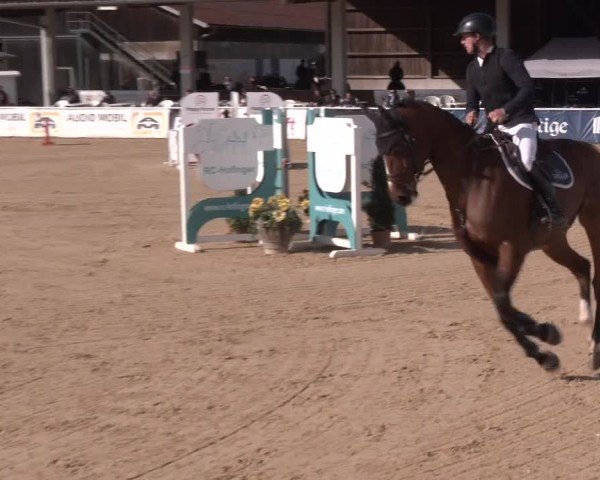 Reitturnier Ranshofen - Braunau am Inn 2024